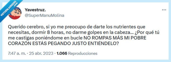 cerebro,bucle,coyote dax