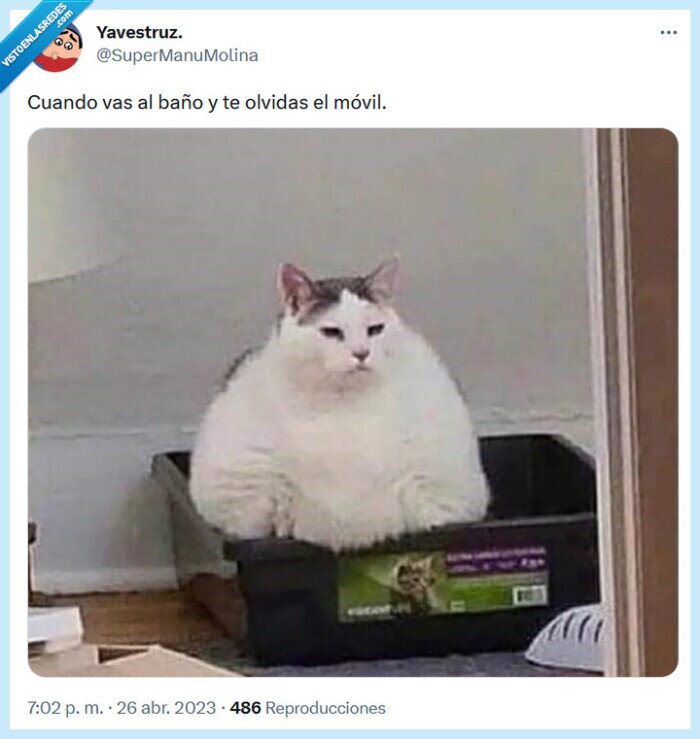 baño,olvidar,móvil