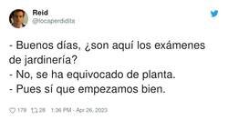 Enlace a Jardinería, por @locaperdidita