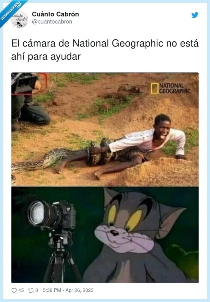 national geographic,cámara,ayudar,tom,serpiente,foto