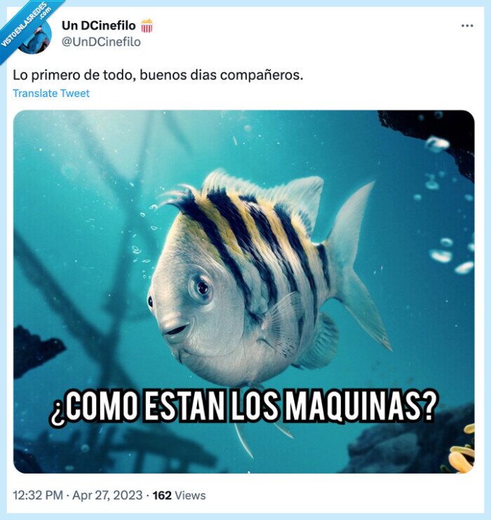 maquinas,como estan,david bisbal,flounder,la sirenita