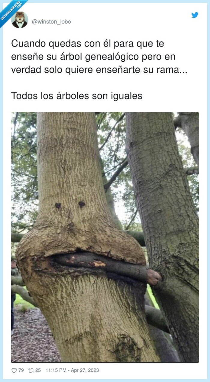 genealógico,árboles,chupar,boca