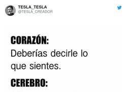 Enlace a Noooooo, por @TESLA_CREADOR