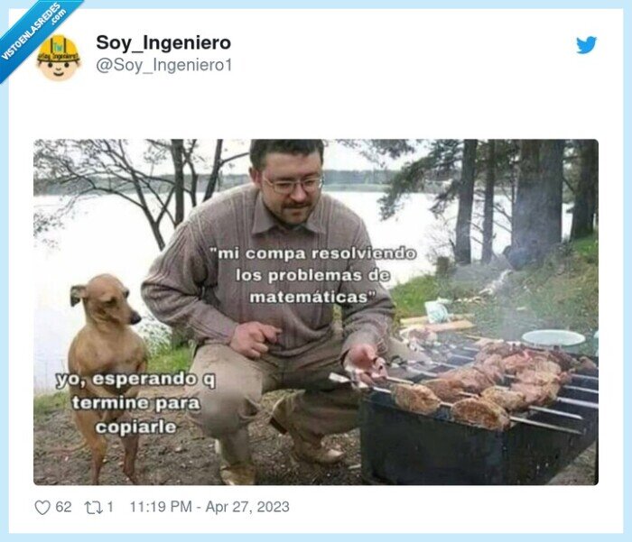 copiar,barbacoa,perro,problemas,matemáticas