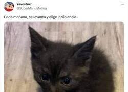 Enlace a No se arrepiente de nada por @supermanumolina