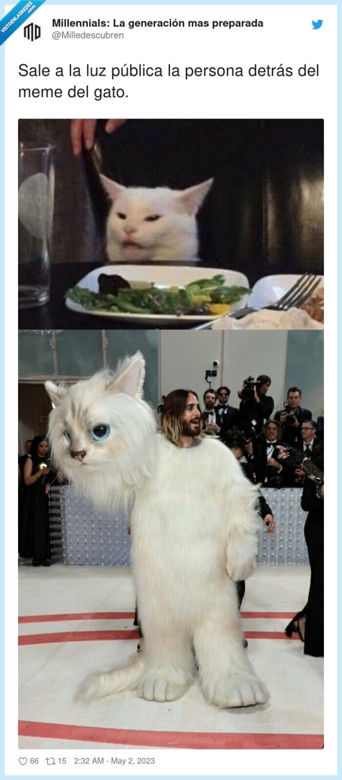 gato,met gala,meme,jared leto