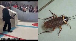 Enlace a Esta cucaracha se pasea por la alfombra roja de la Met Gala. Ya ha llegado más lejos que yo