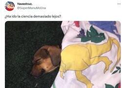 Enlace a Bark-e Jurásico por @supermanumolina