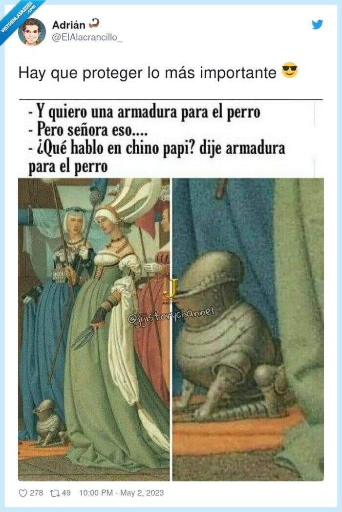 importante,proteger,perro,armadura