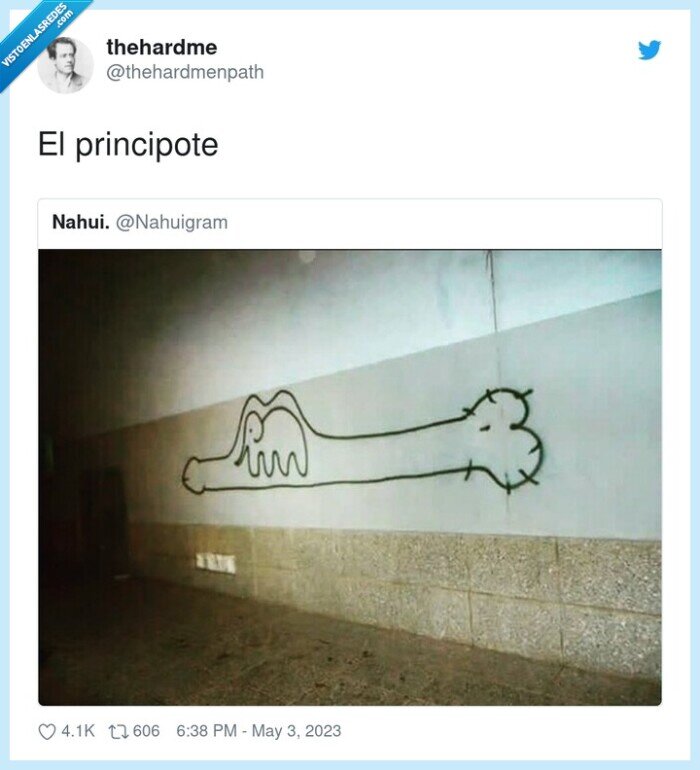 princi ote,principito,pintada