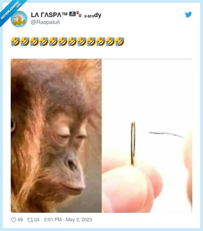 alfiler,aguja,enhebrar