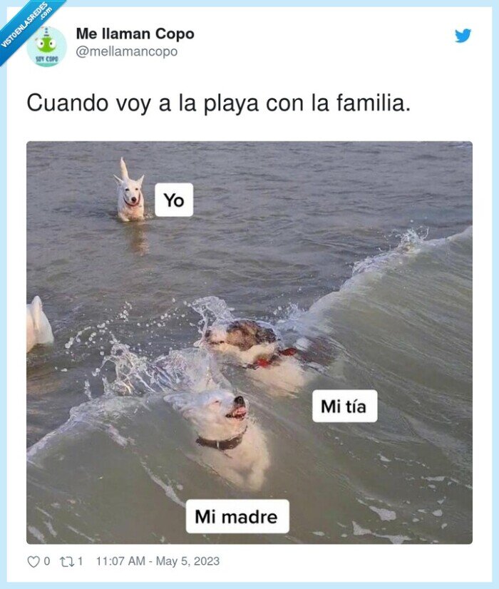 familia,playa,madre,tia,olas,ahogarse