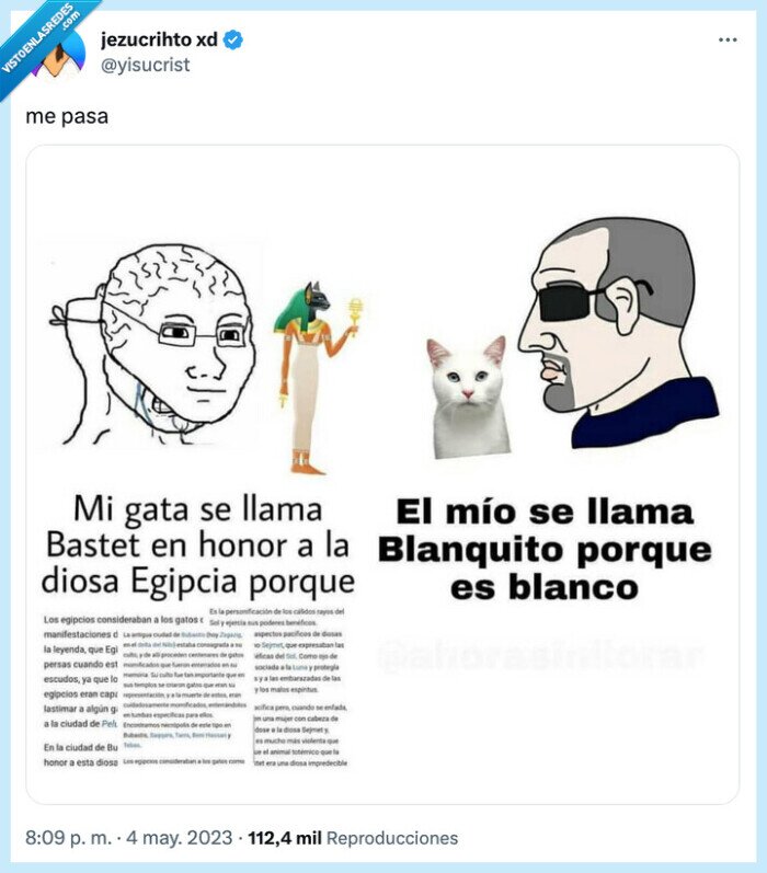 gato,blanco,nombre,egipcio