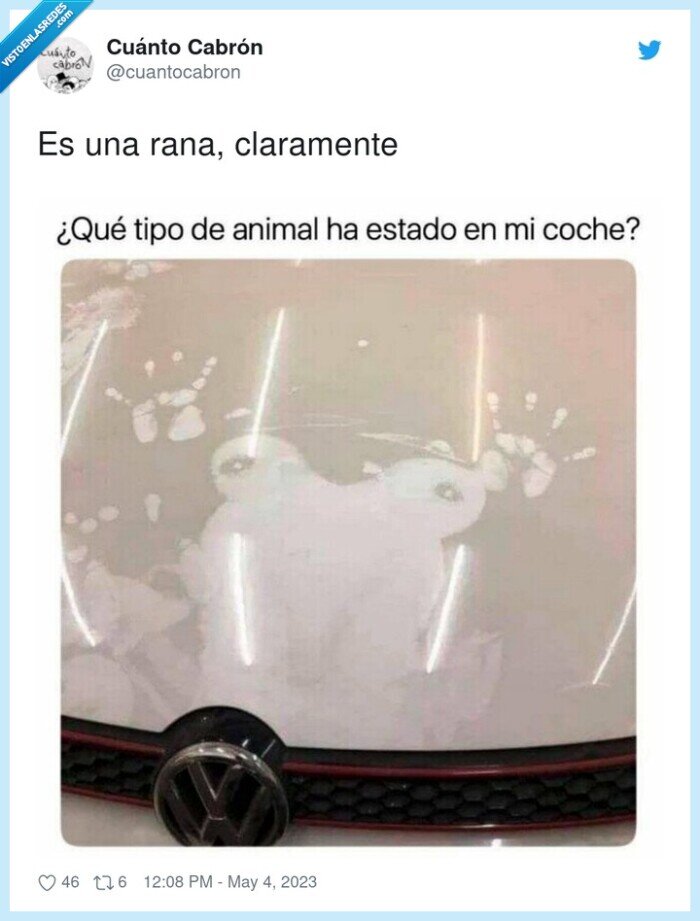 rana,sex,apoyarse,capo,coche