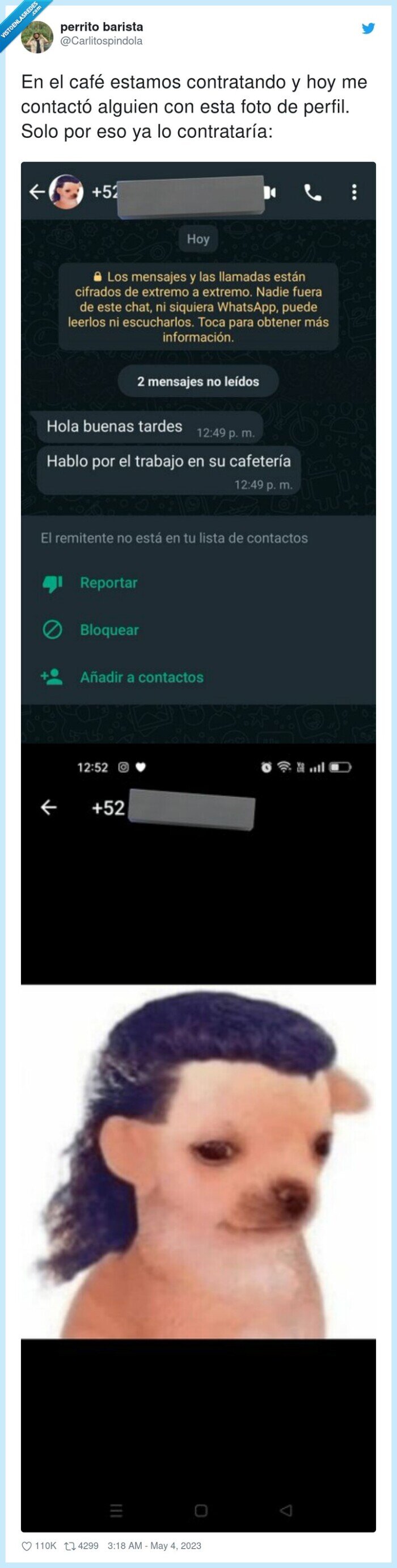 contratar,whatsapp,perrete,foto de perfil
