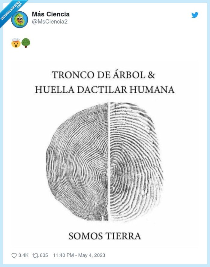 huella,arbol,corteza,tierra