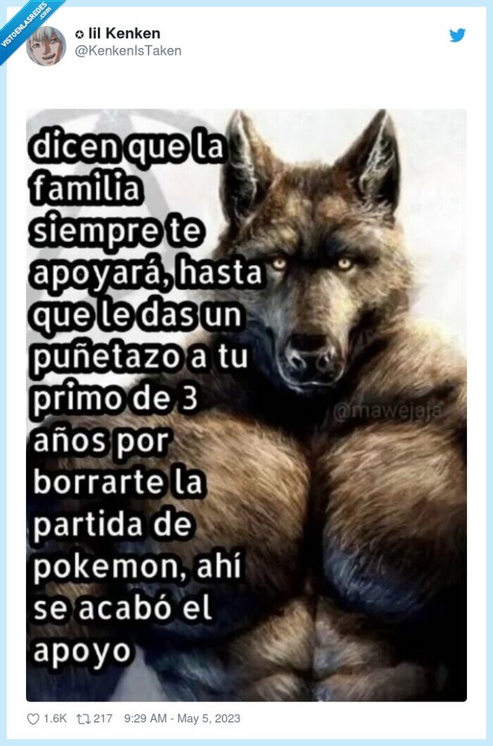 primo,familia,pelea,borrar,partida,pokemon