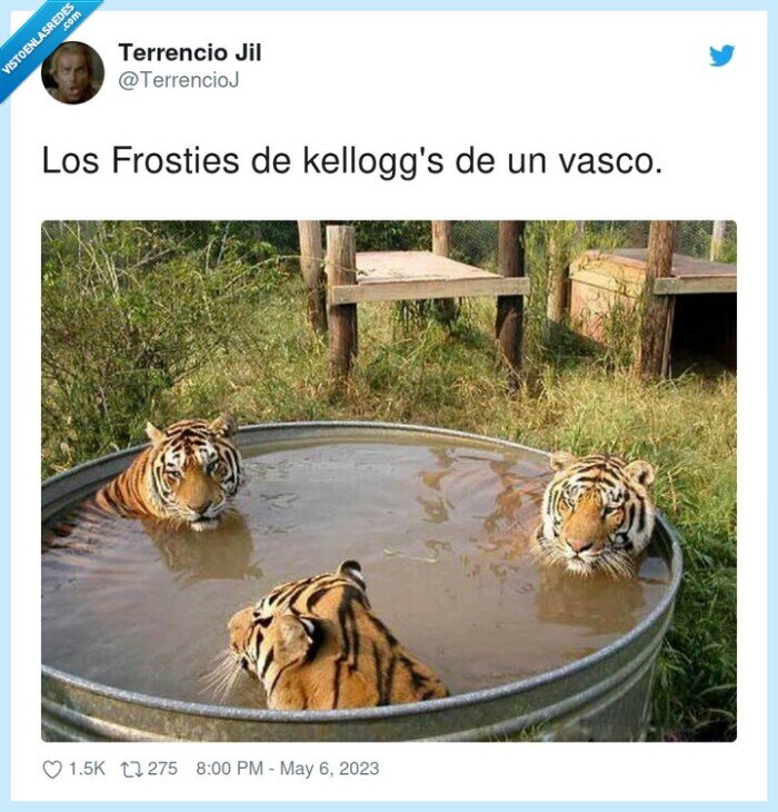 kelloggs,frosties,vasco,bol