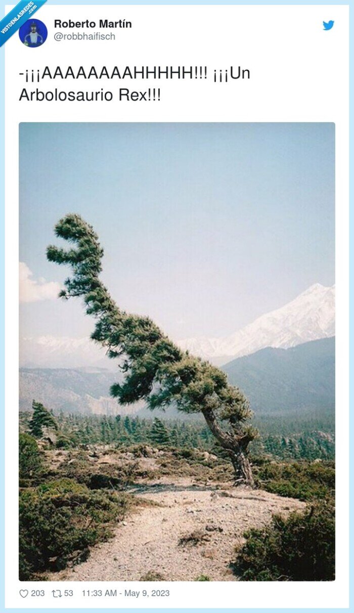 arbolosaurio,rex,arbol,forma