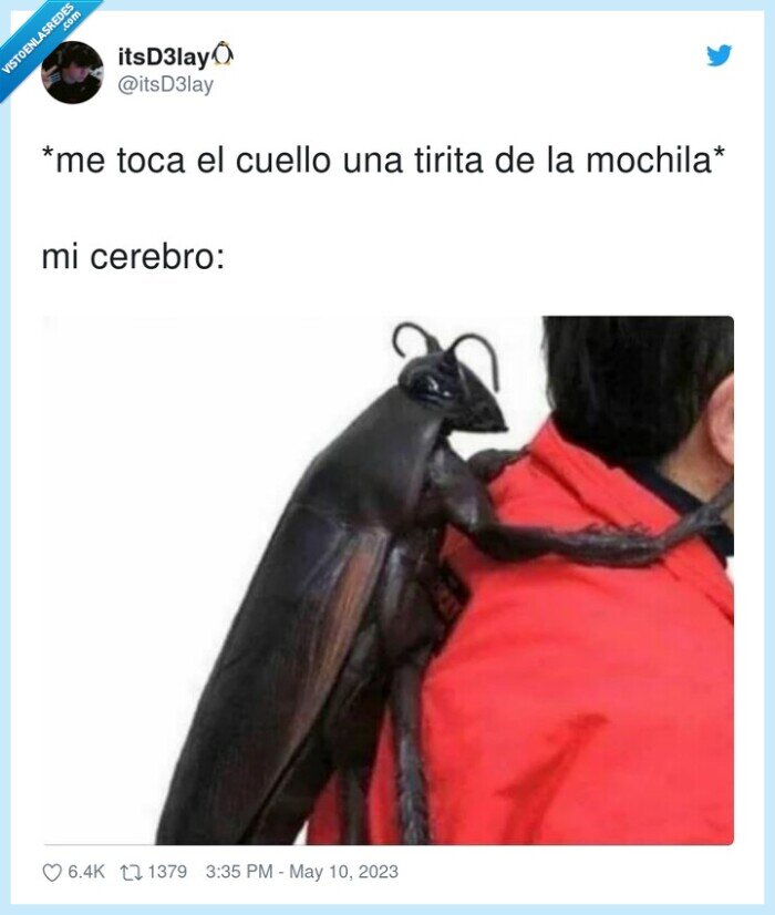 mochila,cerebro,cuello,tirita,tocar,escarabajos,bicho