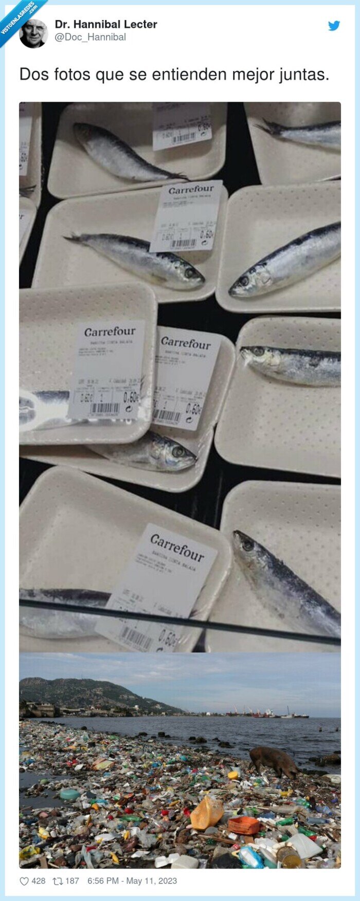 basura,plastico,mar,pescado