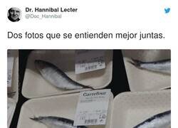 Enlace a Un sinsentido, por @Doc_Hannibal
