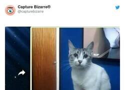 Enlace a Conmigo funcionaría, por @capturebizarre