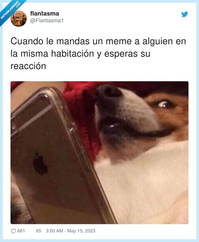 habitación,reacción,esperar,meme,mandar