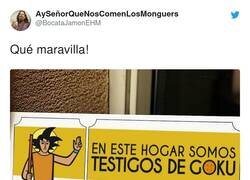 Enlace a Testigos de Goku, por @BocataJamonEHM