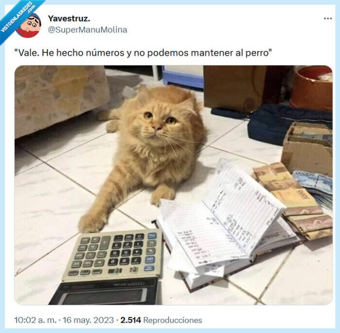 mantener,números,perro,gato