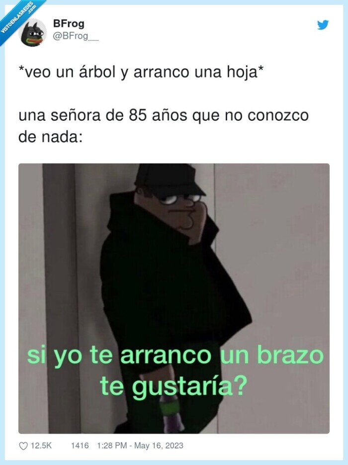 señora,arrancar,árbol,hoja