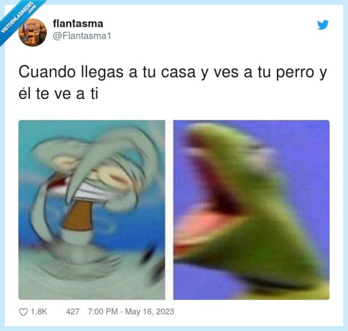 llegar,casa,locura,saludar,perro