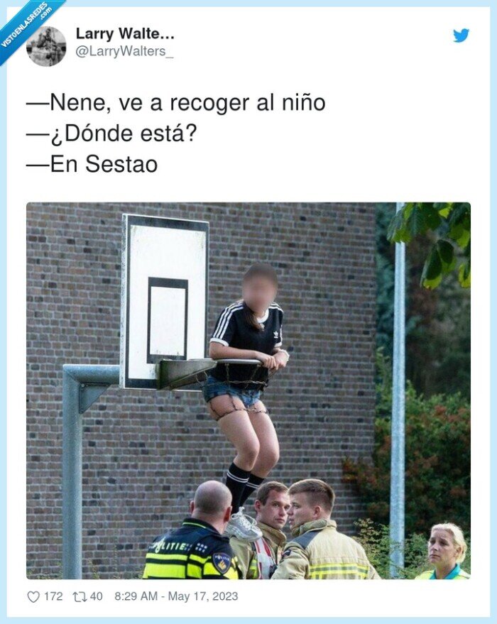 recoger,sestao,nene,niño,cesta,baloncesto