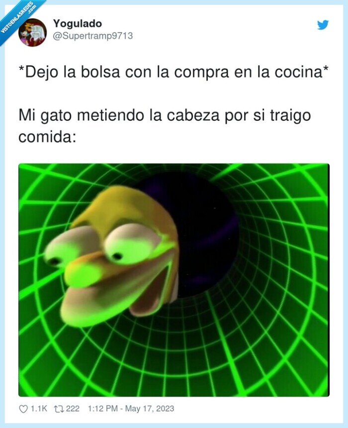 metiendo,cocina,compra,cabeza,comida