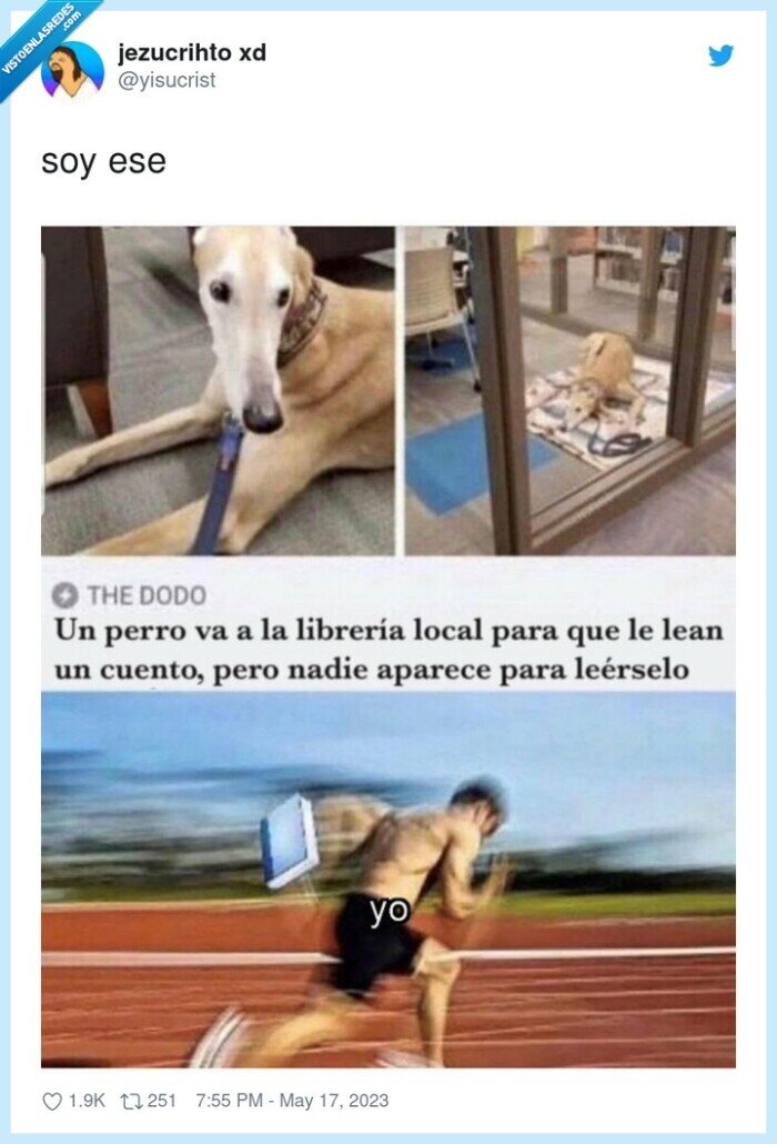 perro,leer