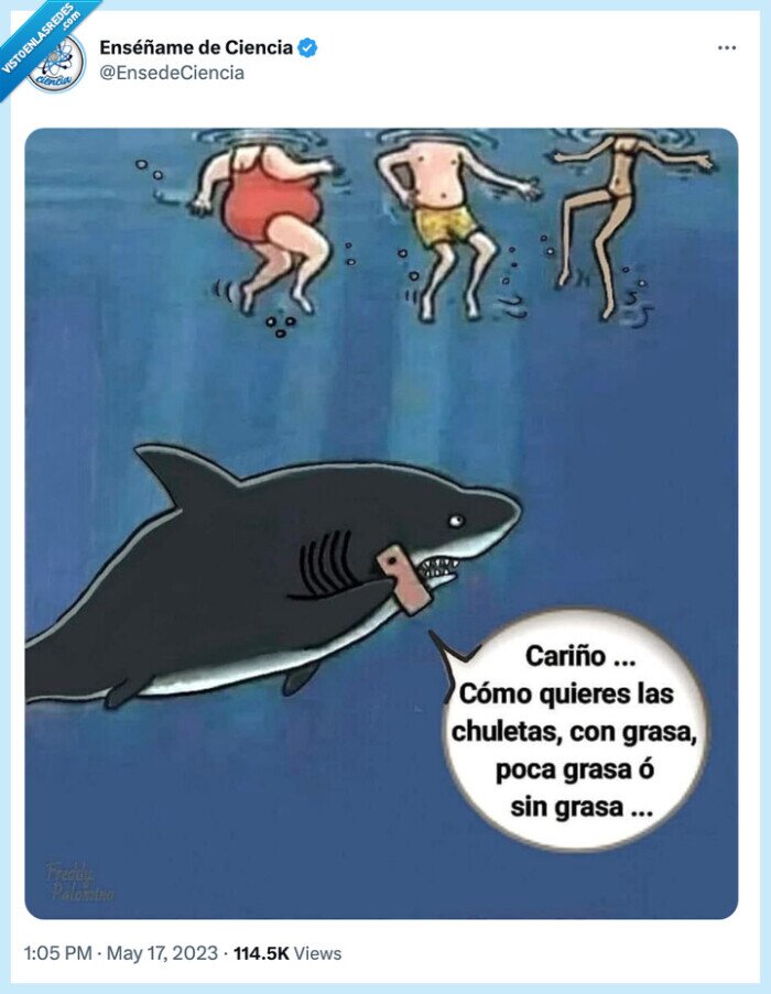 morder,grasa,chuletas,tiburón