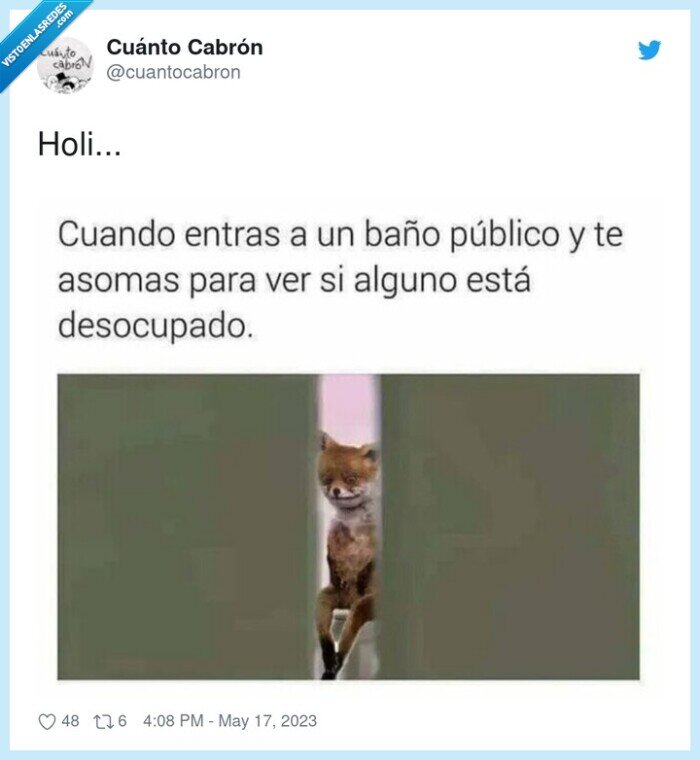 zorro,wc,retrete,ocupado,baño publico