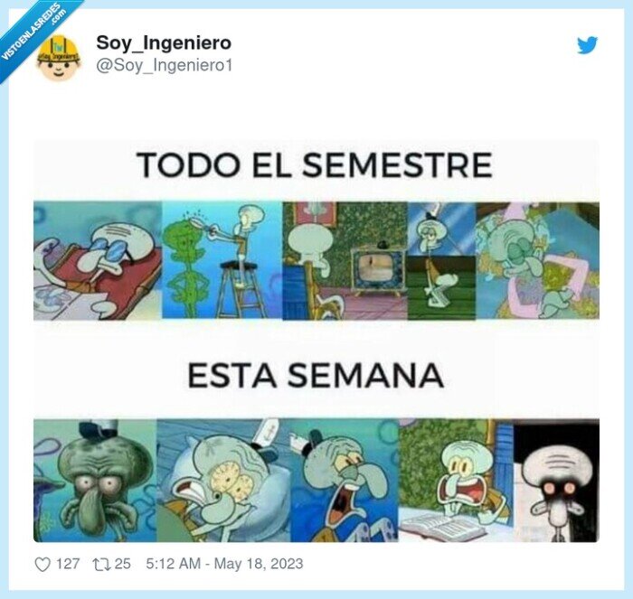 calamardo,examenes,estudiar,vago