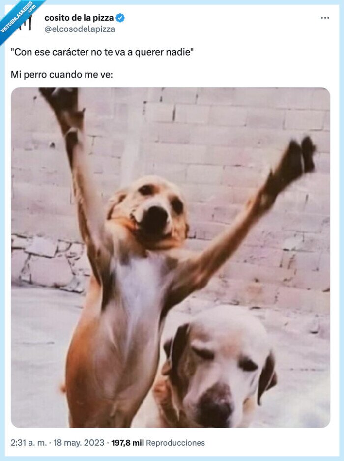 perro,abrazar,alegria,querer