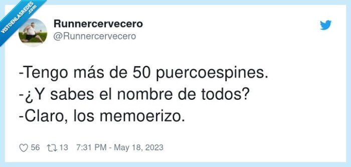 puercoespines,memoerizo,erizo,memorizar