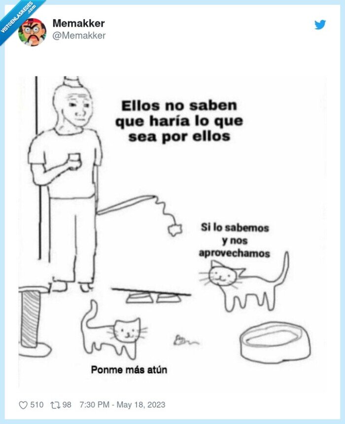 atún,gato,aprovechar