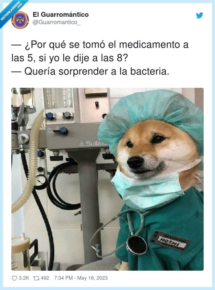 medicamento,sorprender,bacteria,tomar
