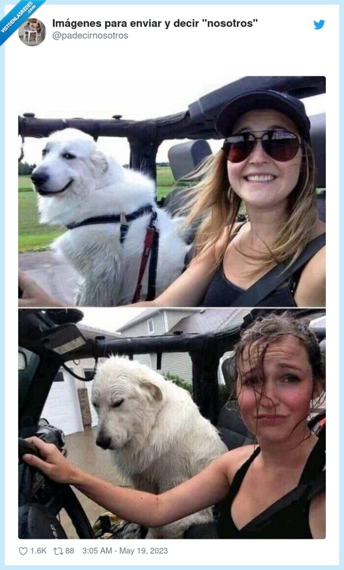 descapotable,lluvia,mojados,coche