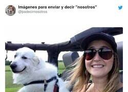 Enlace a El perro sufrió el desarrollo de personaje, por @padecirnosotros