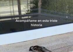 Enlace a El final más inesperado que he visto en mi vida, estoy llorando como un cabronazo