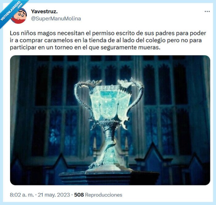permiso,torneo,harry potter,magos,niños,comprar