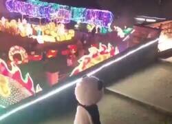 Enlace a De pequeña dice, ahora también, por @kansaita_