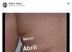 Enlace a Ya no llego a verano, por @TESLA_CREADOR