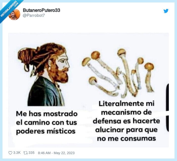 setas,alucinógenas,alucinar
