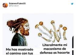 Enlace a El humano siempre amoldándoselo todo para su goce, por @Parrobot7